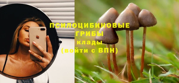 герыч Ладушкин