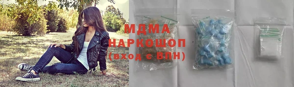 шишки Лабытнанги