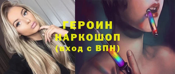шишки Лабытнанги