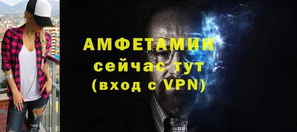 шишки Лабытнанги