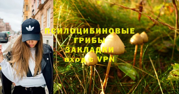 шишки Лабытнанги