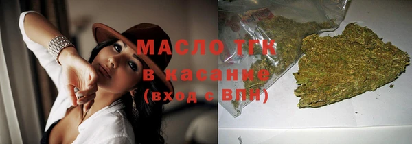 шишки Лабытнанги