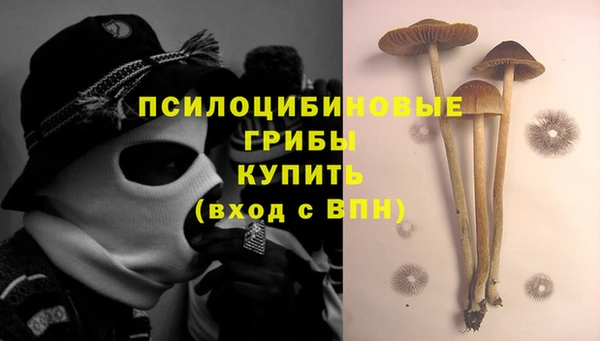 герыч Ладушкин