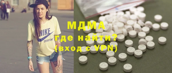 шишки Лабытнанги
