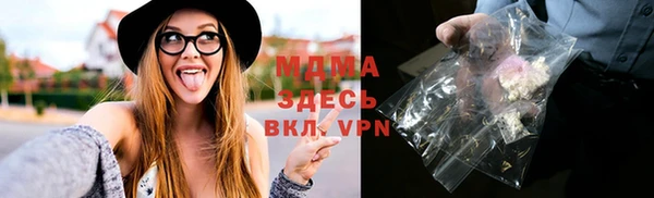 шишки Лабытнанги