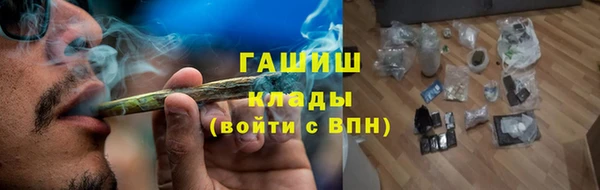 шишки Лабытнанги