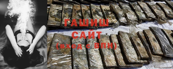 шишки Лабытнанги