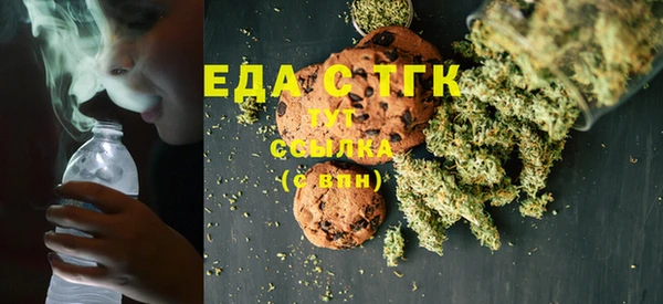 шишки Лабытнанги