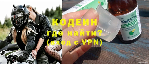 шишки Лабытнанги