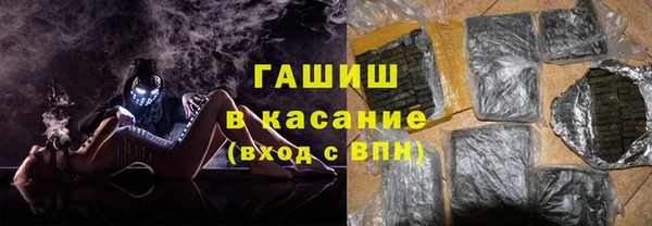 шишки Лабытнанги