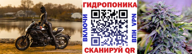 Шишки марихуана марихуана  omg онион  Тогучин 